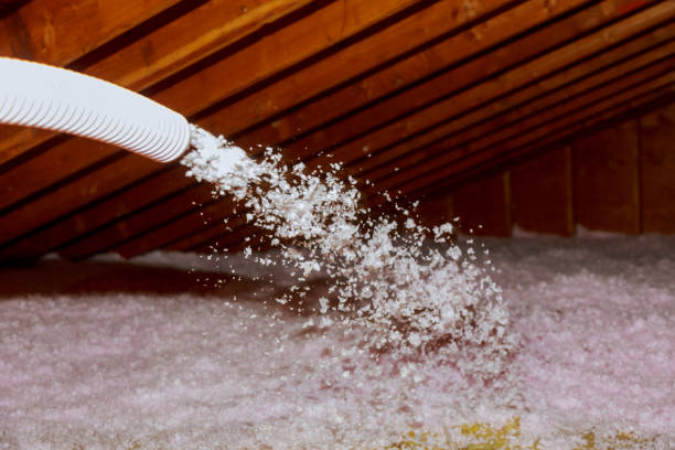 Best Specialized Insulation Services in Neffs, OH