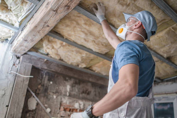 Types of Insulation We Offer in Neffs, OH