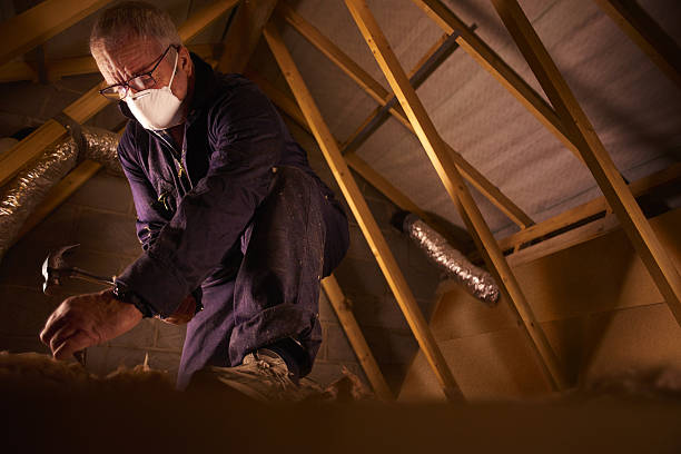 Best Insulation Maintenance and Repair in Neffs, OH