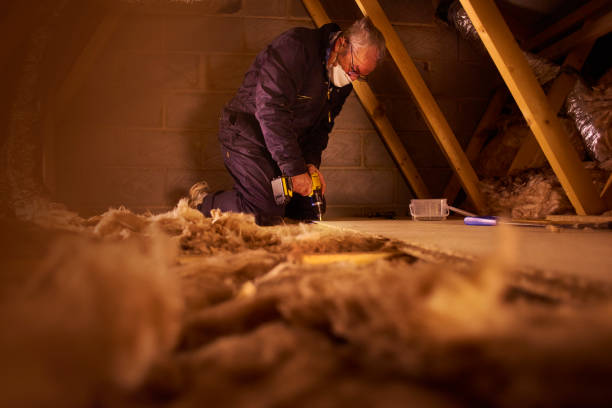 Best Geographic-Specific Insulation Services in Neffs, OH